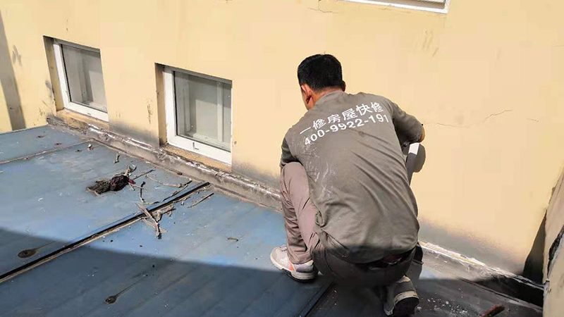 环保型防水涂料：绿色建筑的新选择**